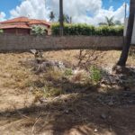 Mosconni Imobiliária