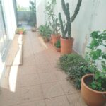 Mosconni Imobiliária